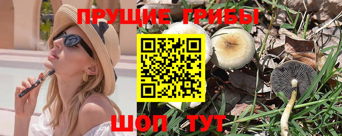 Псилоцибиновые грибы MAGIC MUSHROOMS  купить наркотики цена  Людиново  Вход с VPN 
